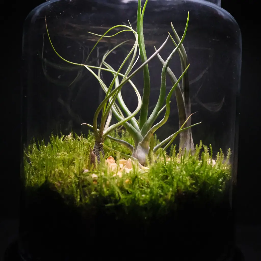 DSCF0950.webp