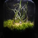 DSCF0950.webp