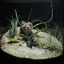 DSCF1125.webp