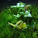 DSCF1172.webp