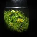 DSCF1166.webp