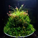 DSCF3946.webp
