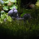 DSCF0798.webp
