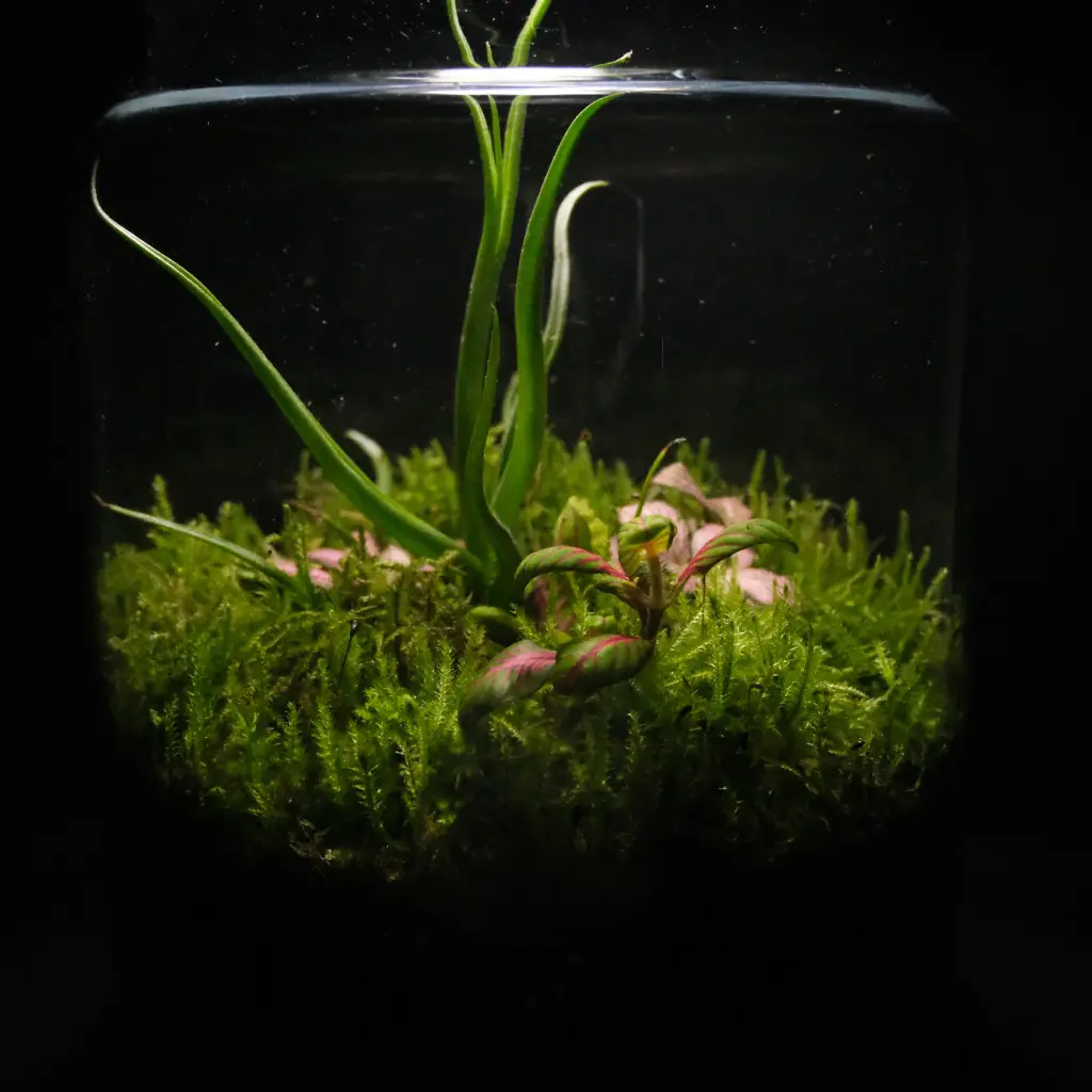 DSCF1043.webp