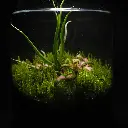 DSCF1043.webp