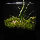 DSCF1041.webp