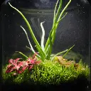DSCF0764.webp