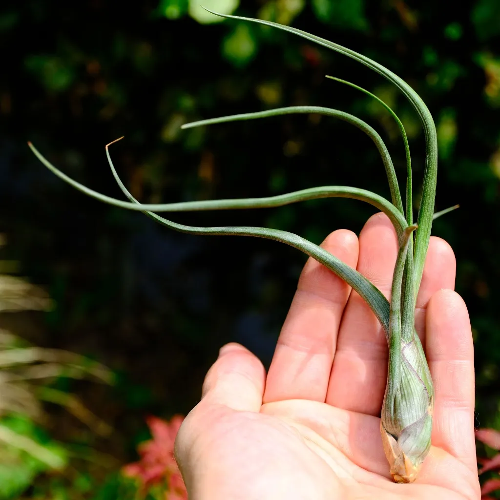 DSCF8899.webp