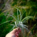 DSCF8727.webp