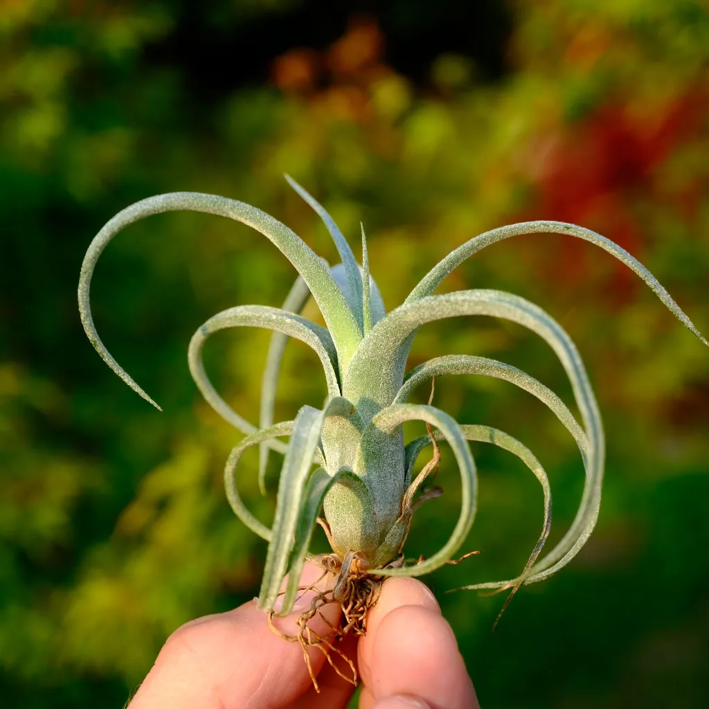 DSCF8697.webp