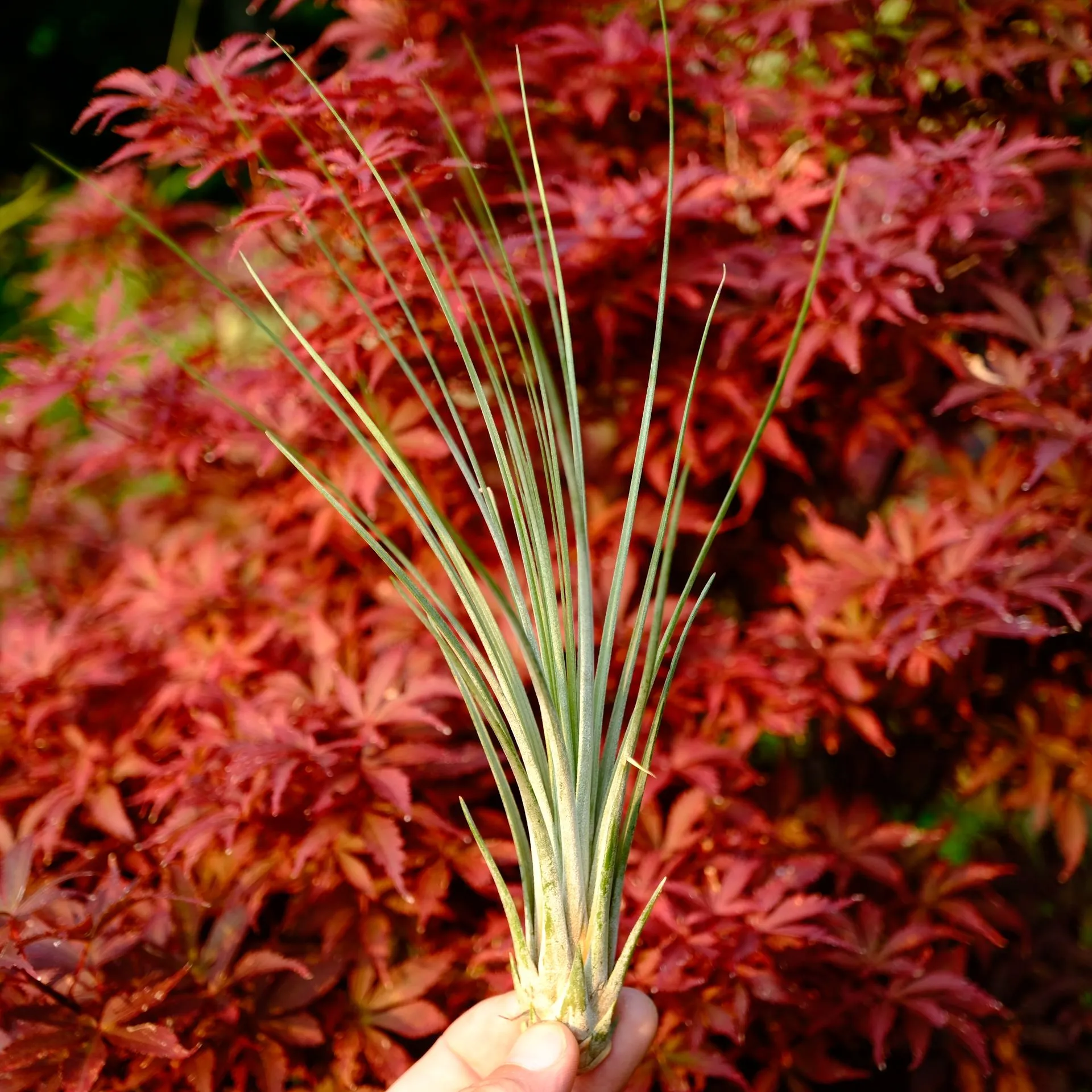 DSCF8763.webp