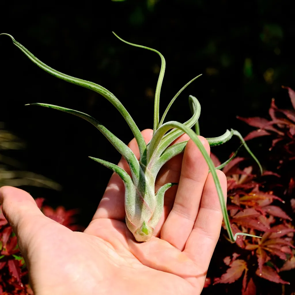 DSCF8840.webp
