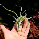 DSCF8840.webp