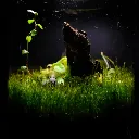 Kokedarium® #16.webp