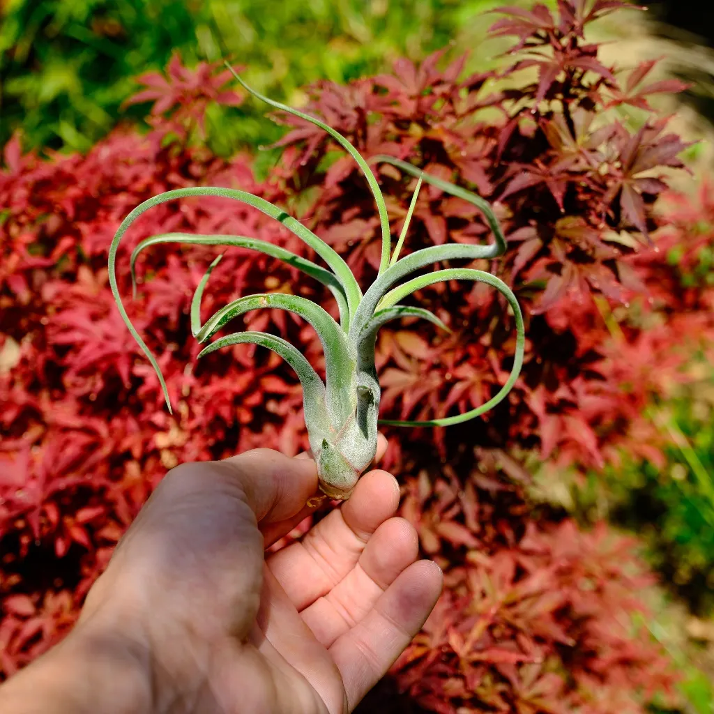 DSCF8831.webp