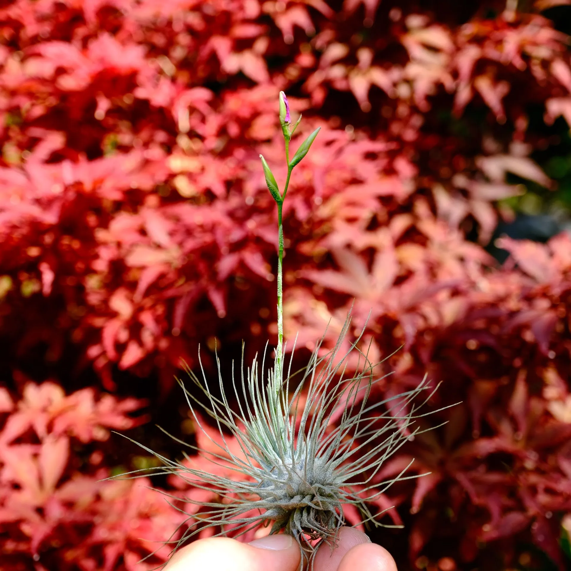 DSCF8789.webp