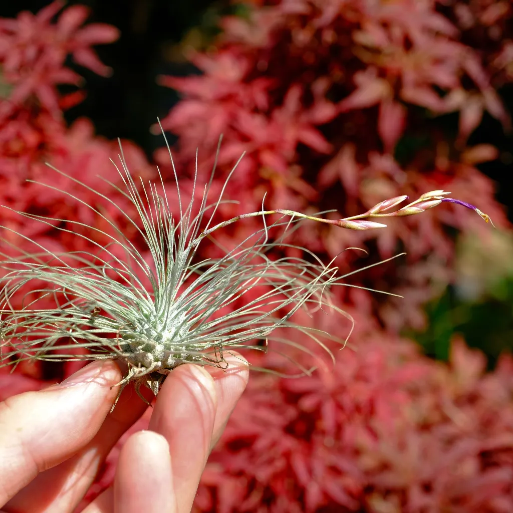 DSCF8777.webp