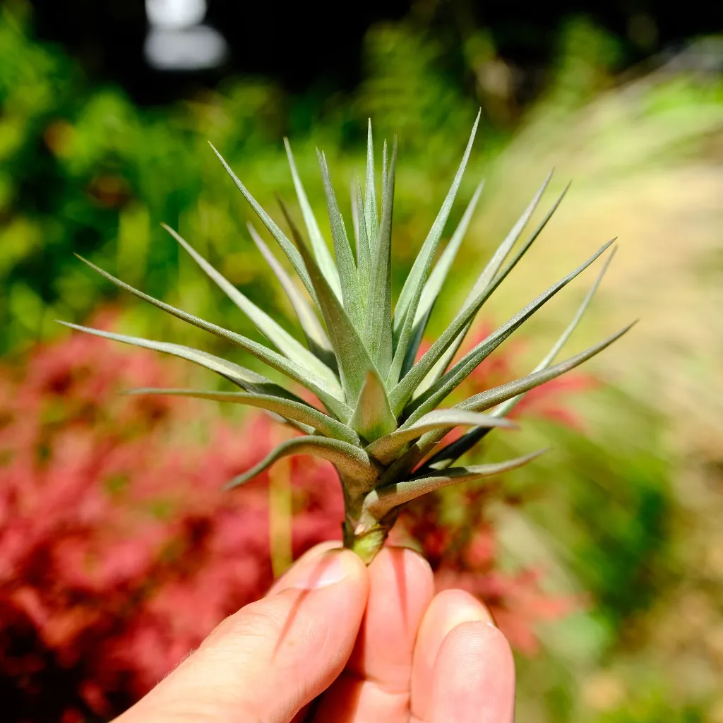 DSCF8818.webp