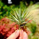 DSCF8818.webp