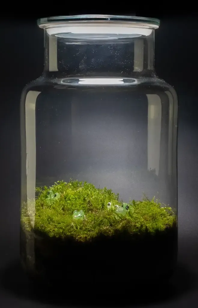 Kokedarium® #45.webp