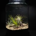 DSCF1096.webp