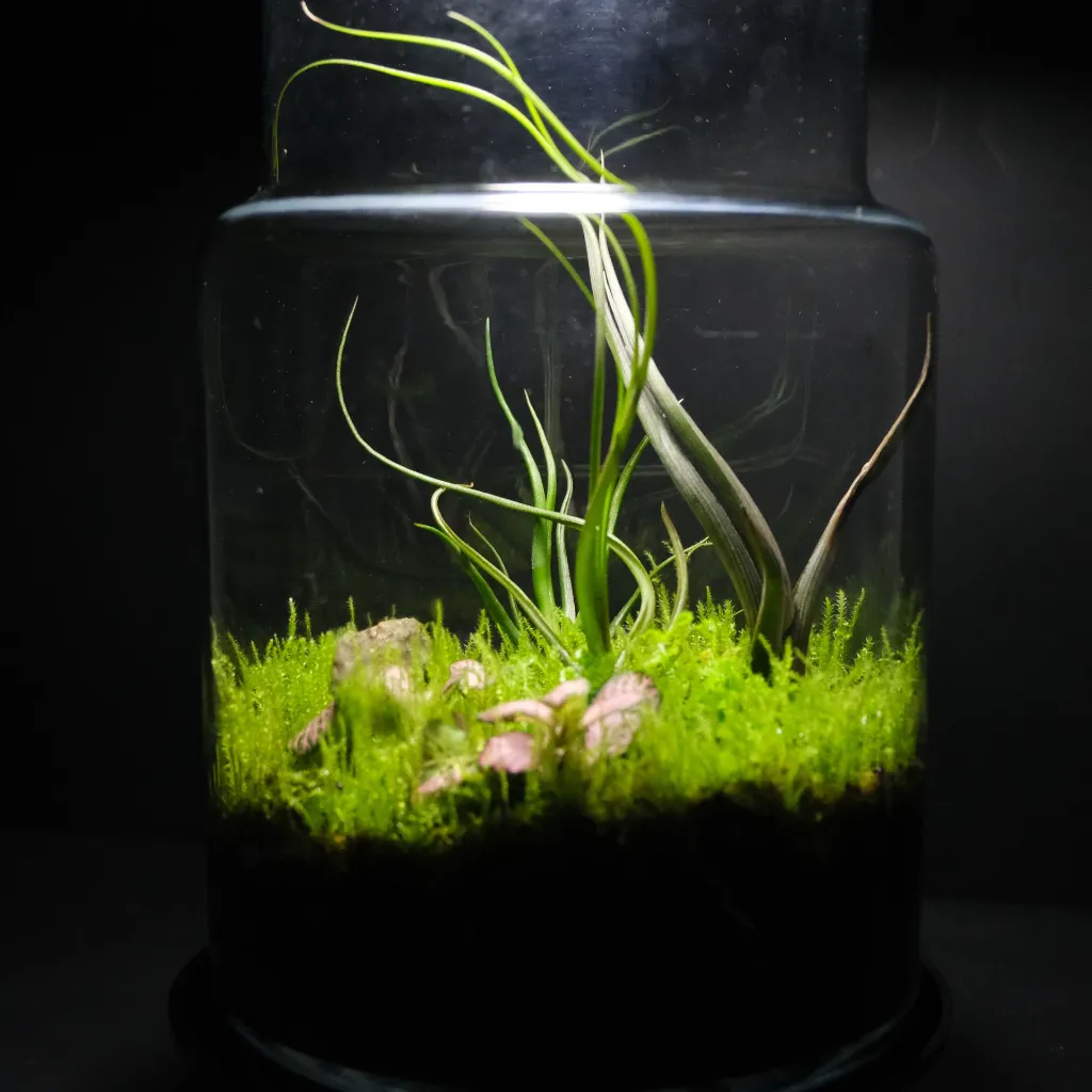 DSCF1078.webp