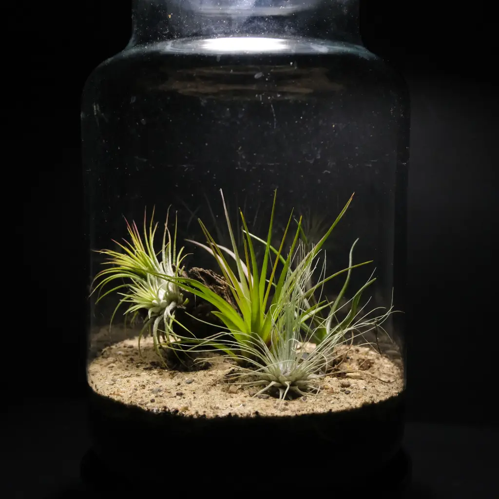 DSCF1095.webp