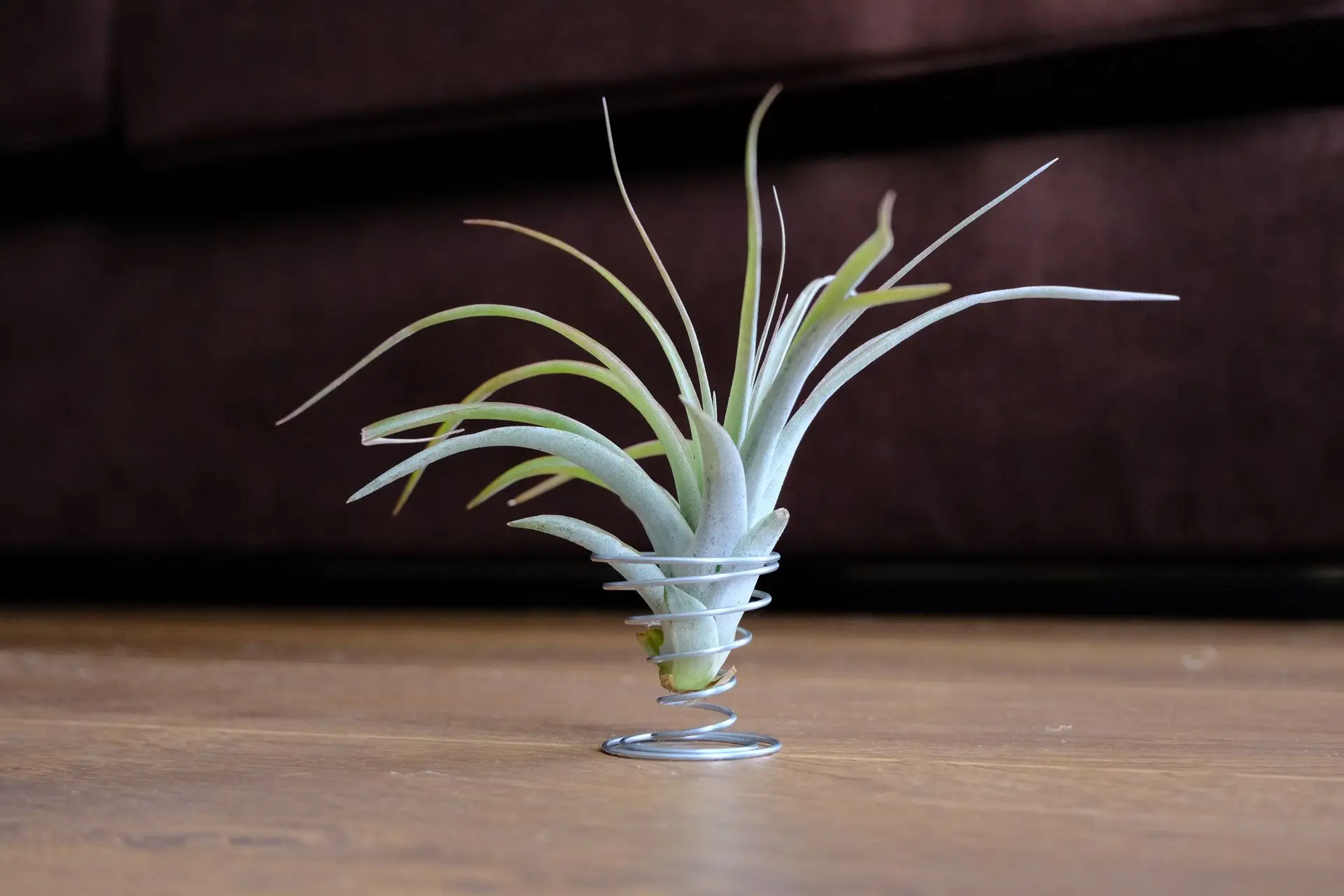 DSCF4468.webp