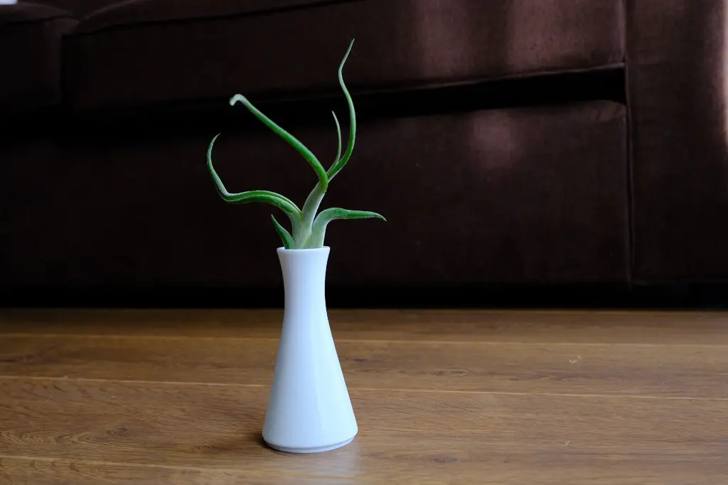 DSCF4476.webp