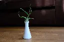 DSCF4476.webp