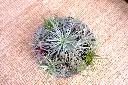 DSCF4375.webp