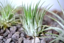 DSCF5938.JPG