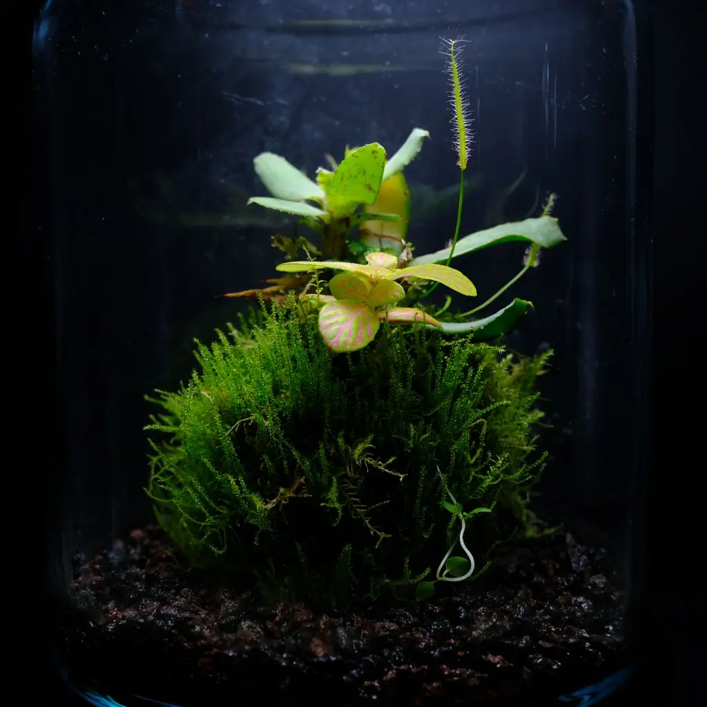 DSCF3984.webp