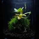 DSCF3984.webp