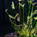 DSCF3896.webp