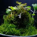 DSCF4021.webp