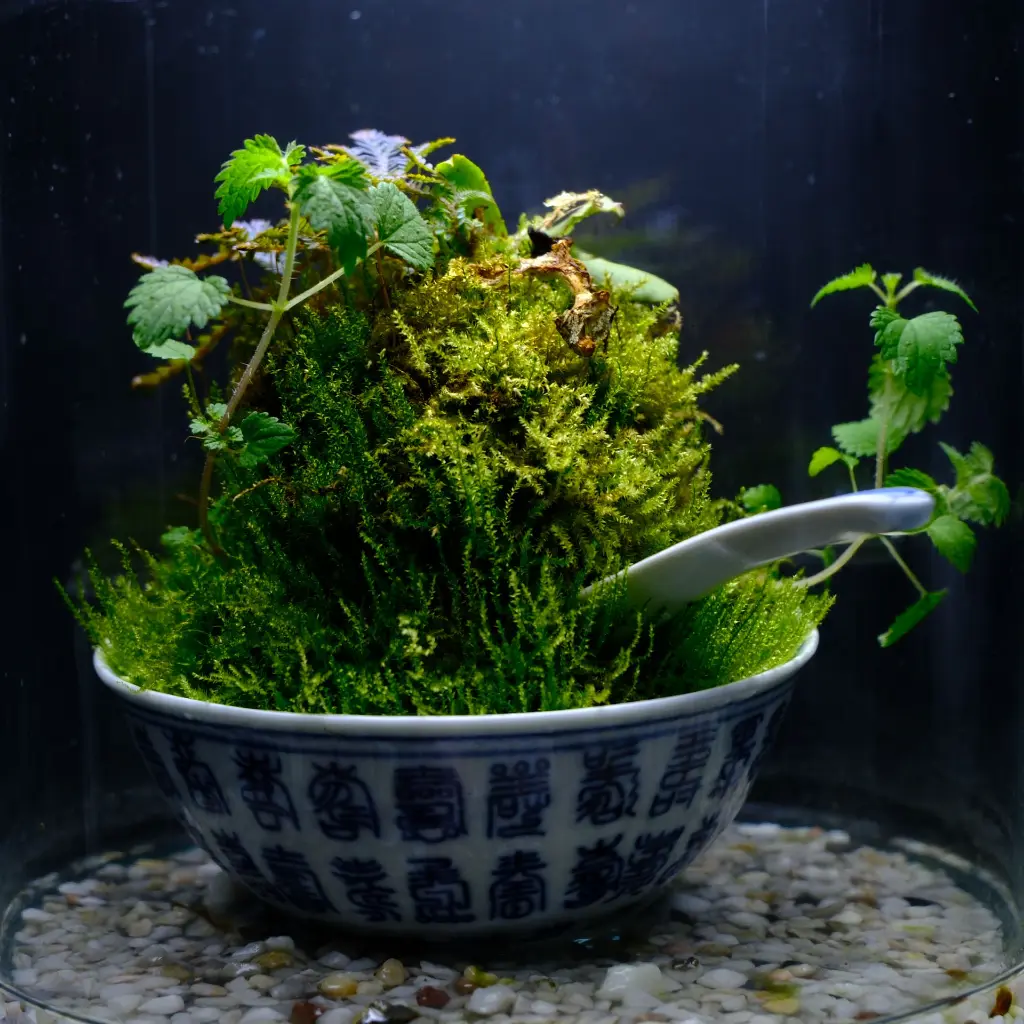 DSCF3996.webp