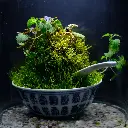 DSCF3996.webp