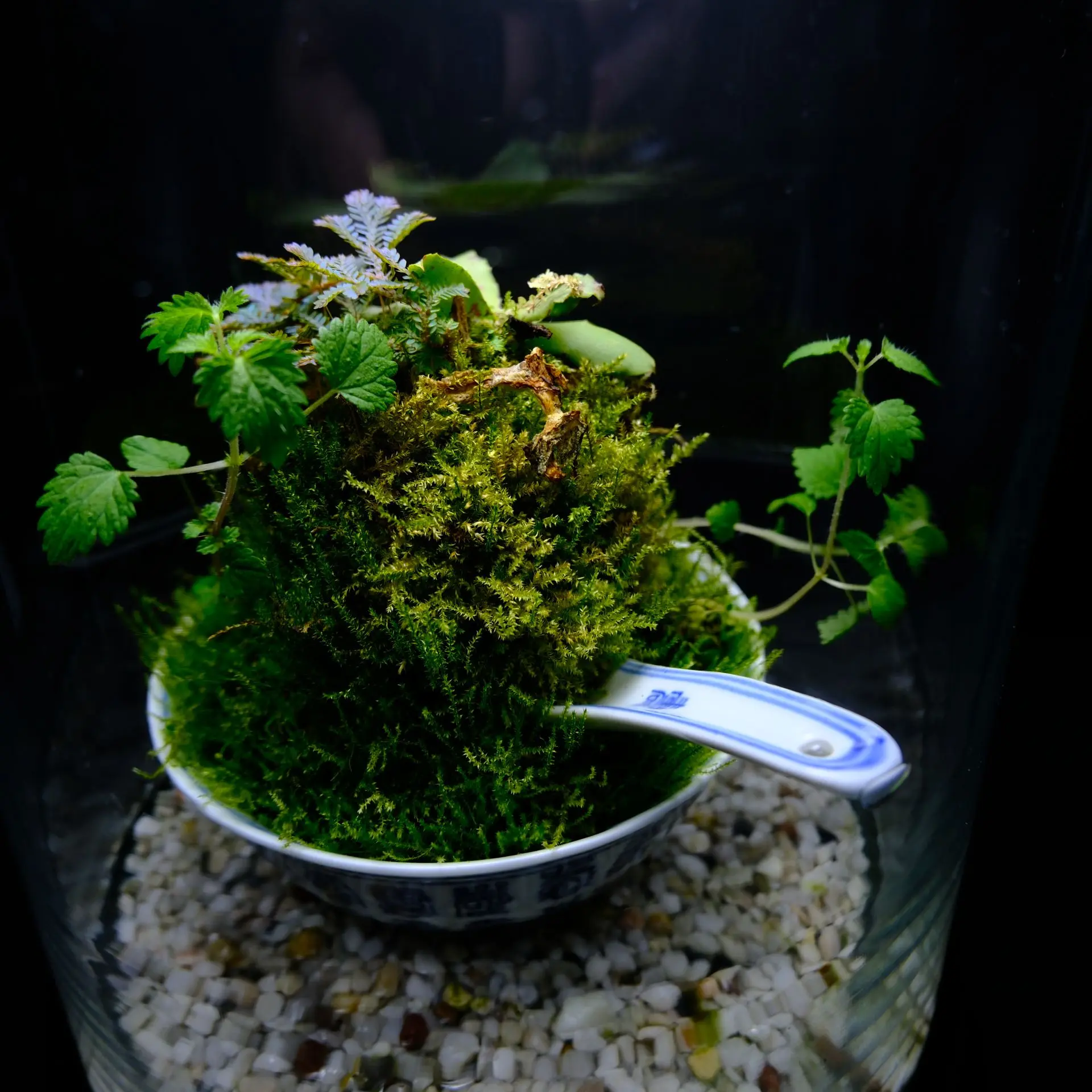 DSCF3993.webp