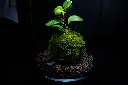 DSCF4576.webp