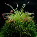 DSCF3952.webp