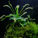 DSCF3887.webp