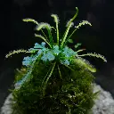 DSCF3876.webp