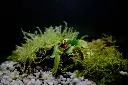 DSCF4514.webp