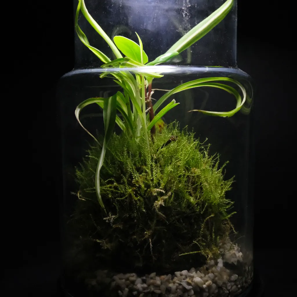 DSCF1263.webp