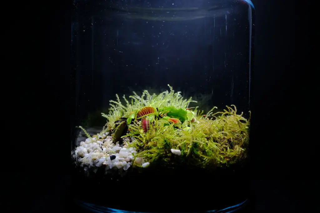 DSCF4508.webp
