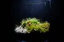 DSCF4508.webp