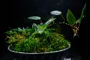 DSCF4556.webp