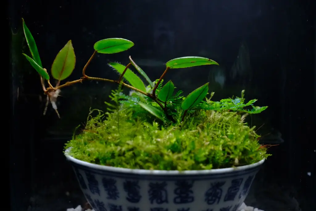 DSCF4559.webp