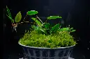 DSCF4559.webp
